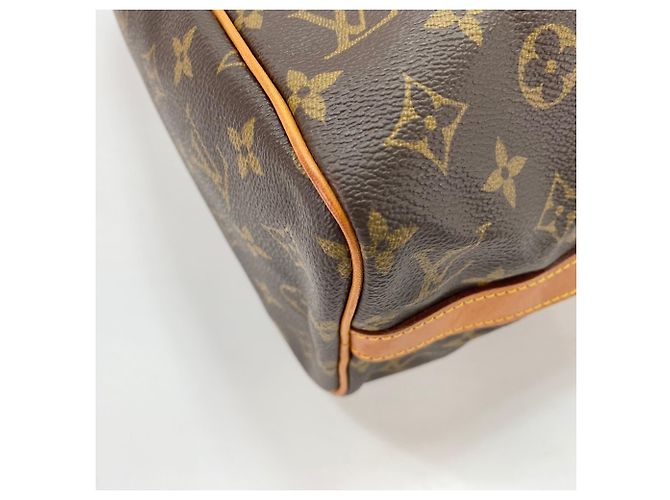 Louis Vuitton Flanerie 45 Shoulder Bag Brown - view 8