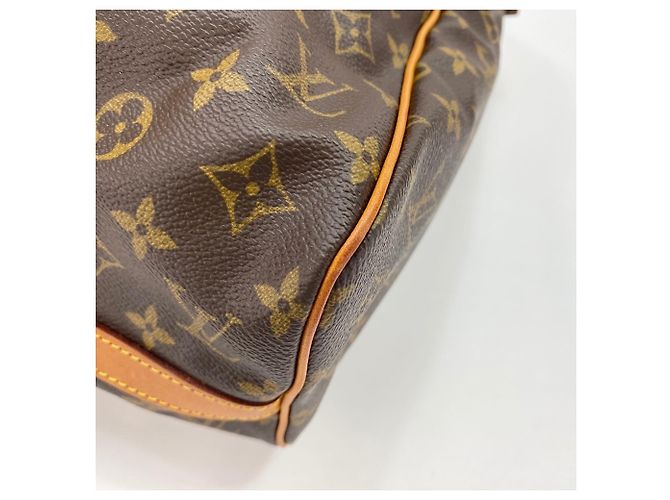 Louis Vuitton Flanerie 45 Shoulder Bag Brown - view 9