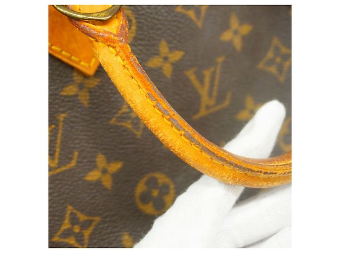 Borsa a mano Louis Vuitton Alma Monogram Marrone - vista 9