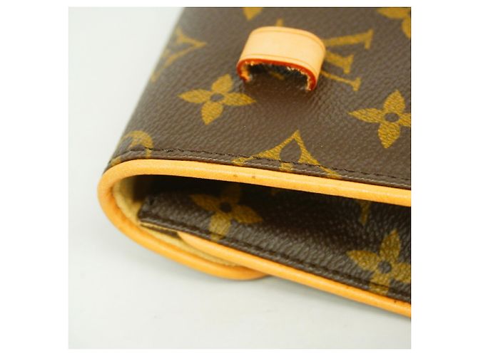 Louis Vuitton Monogram Pochette Florentine Fanny Pack Marrone - vista 6