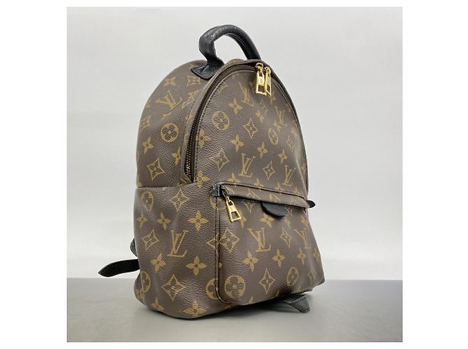 Zaino Louis Vuitton Monogram Palm Springs PM M44871 Marrone - vista 2