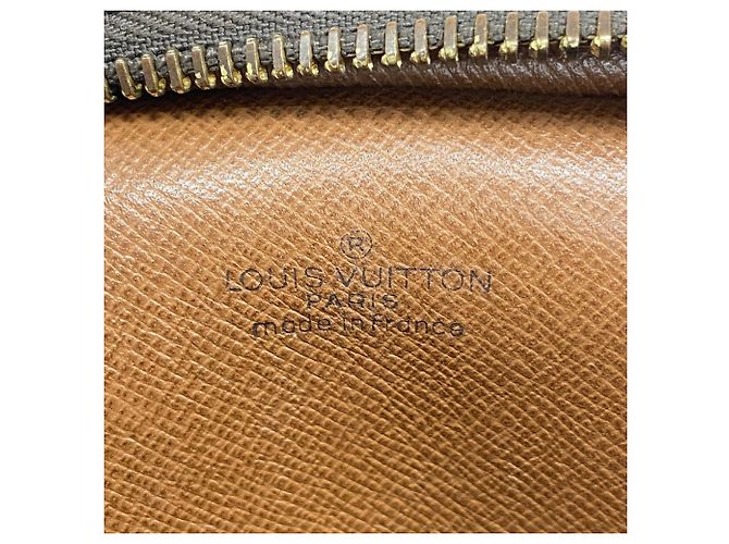 Borsa a tracolla Louis Vuitton Monogram Mini Amazon Marrone - vista 5