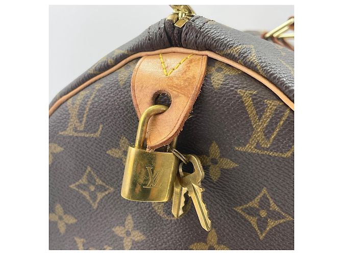 Borsa Boston Louis Vuitton Monogram Speedy 40 Marrone - vista 12