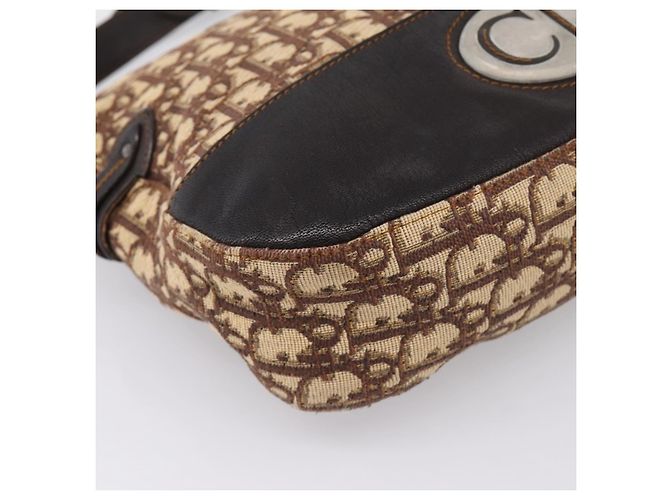 Borsa a tracolla Christian Dior Trotter Canvas Beige Auth ka5911A - vista 12