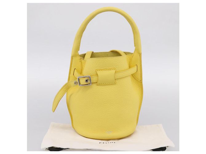 Céline CELINE Big Bag Bucket Nano Borsa a Mano Pelle 2way Giallo Argento Auth 199091M - vista 12