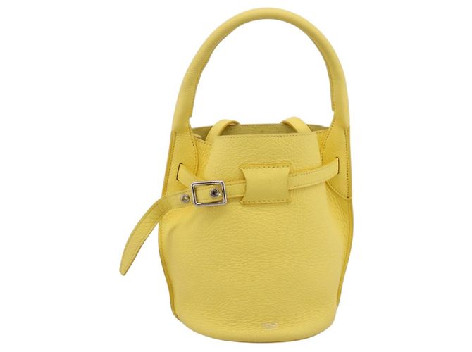 Céline CELINE Big Bag Bucket Nano Borsa a Mano Pelle 2way Giallo Argento Auth 199091M - vista 13