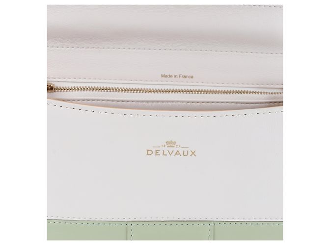 Borsa a mano 2Way Delvaux Brillant MM in pelle, Verde Beige - vista 13