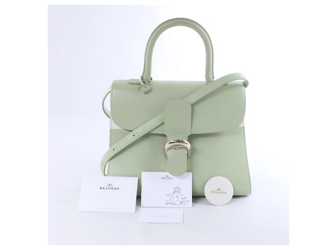 Borsa a mano 2Way Delvaux Brillant MM in pelle, Verde Beige - vista 15