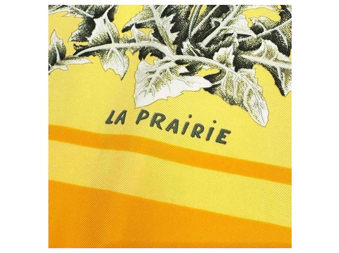 Hermès Hermes Carre 90 La Prairie Silk Scarf, Orange Arancione - vista 2