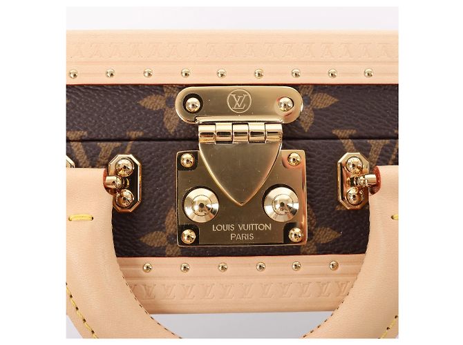Borsa a mano Louis Vuitton x Takashi Murakami Mini Square Trunk in marrone M13127 Blu - vista 11