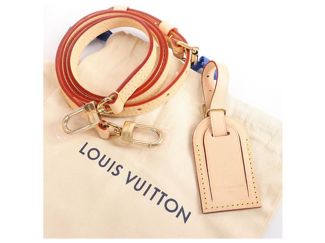 Borsa a mano Louis Vuitton x Takashi Murakami Mini Square Trunk in marrone M13127 Blu - vista 15