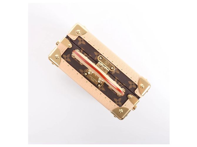 Borsa a mano Louis Vuitton x Takashi Murakami Mini Square Trunk in marrone M13127 Blu - vista 4