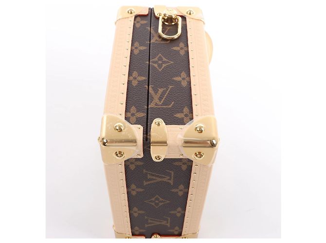 Borsa a mano Louis Vuitton x Takashi Murakami Mini Square Trunk in marrone M13127 Blu - vista 8
