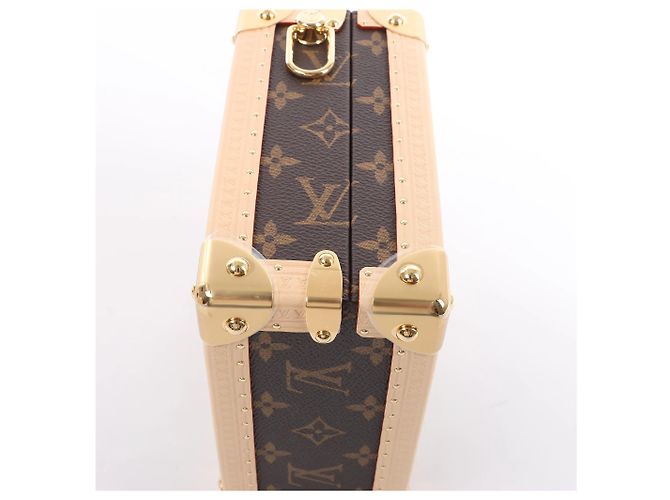 Borsa a mano Louis Vuitton x Takashi Murakami Mini Square Trunk in marrone M13127 Blu - vista 9