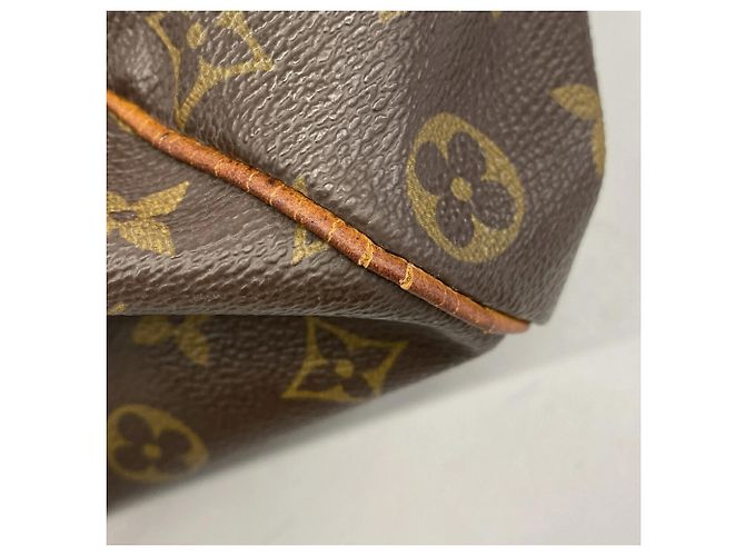 Louis Vuitton Monogram Speedy 25 Handbag Brown - view 7