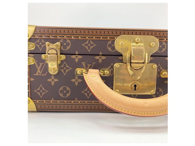 Borsa Boston Louis Vuitton Cotoville 40 in marrone - vista 12