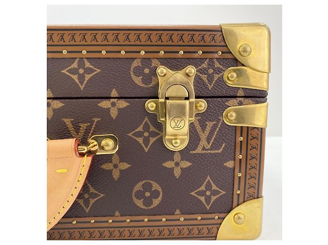 Borsa Boston Louis Vuitton Cotoville 40 in marrone - vista 13