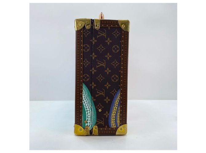 Borsa Boston Louis Vuitton Cotoville 40 in marrone - vista 5