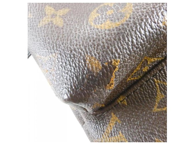 Zaino Louis Vuitton Monogram Palm Springs MM Marrone - vista 5