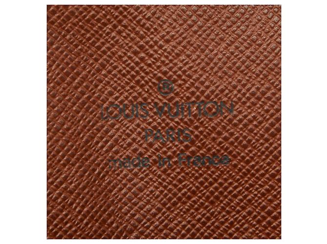 Bolso bandolera Louis Vuitton Monogram Danube Castaño Monograma - vista 12