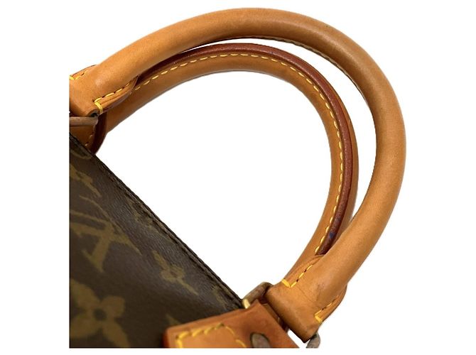 Borsa Louis Vuitton Speedy 25 Marrone Monogramma - vista 9