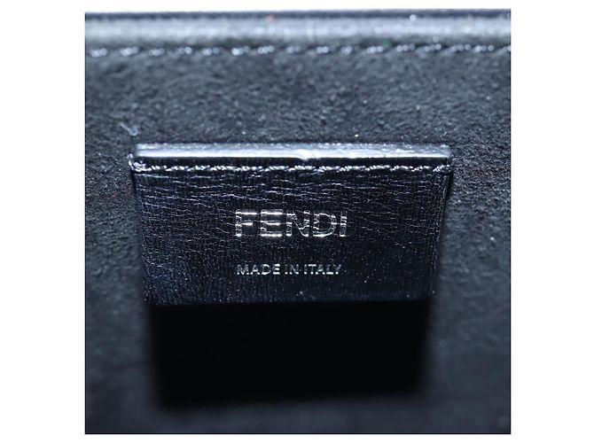 Borsa a Tracolla Box FENDI Pelle Nero Argento Auth 196687M - vista 20