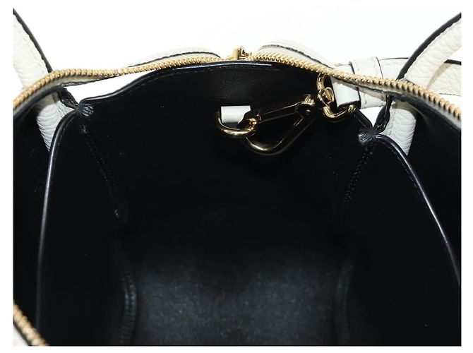 PRADA Hand Bag Vittero Dino Leather 2way White Gold - vista 27