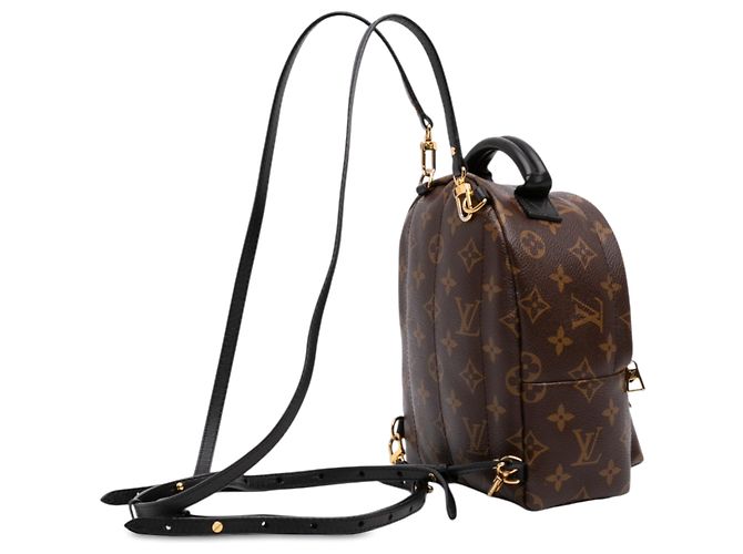 Louis Vuitton Brown Monogram Mini Palm Springs Marrone - vista 2