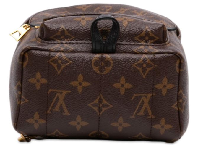 Louis Vuitton Brown Monogram Mini Palm Springs Marrone - vista 3