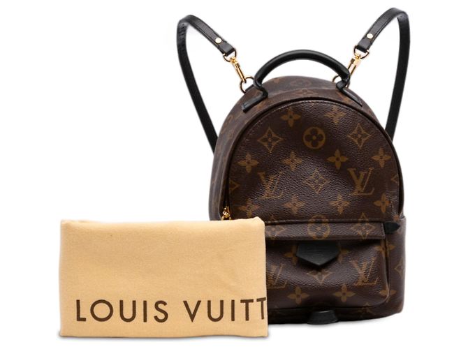 Louis Vuitton Brown Monogram Mini Palm Springs Marrone - vista 7