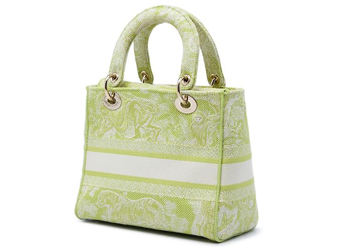 Dior Green Medium Embroidered Canvas Toile de Jouy Lady D Lite D'oro Verde - vista 2
