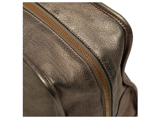 LOEWE Amazona 35 in pelle metallizzata oro D'oro - vista 7