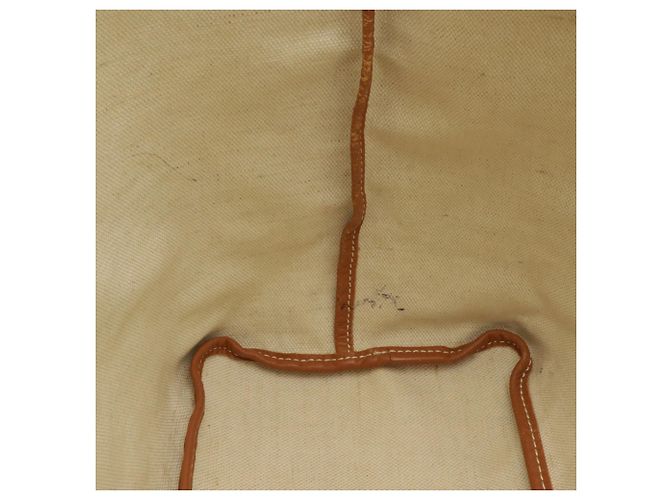 Borsa Tote/Borsa a Tracolla Goyard Saint Louis PM Marrone Nero Bianco - vista 5
