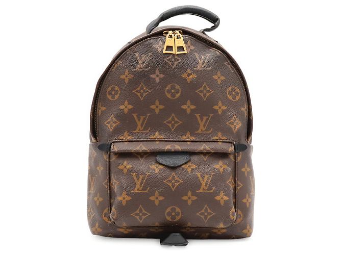 Zaino Louis Vuitton Monogram Palm Springs PM Marrone - vista 2