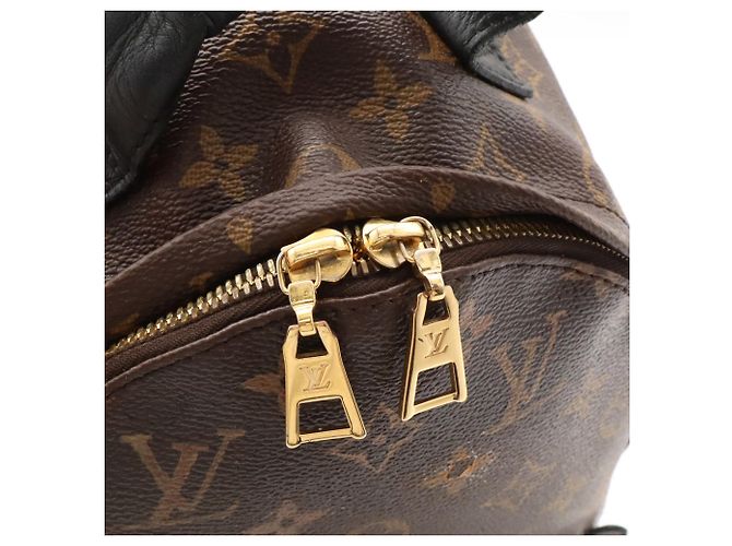 Zaino Louis Vuitton Monogram Palm Springs PM Marrone - vista 7