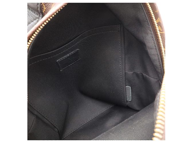 Zaino Louis Vuitton Monogram Palm Springs PM Marrone - vista 9
