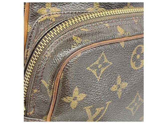 Borsa a tracolla Louis Vuitton Monogram Amazon Marrone - vista 10
