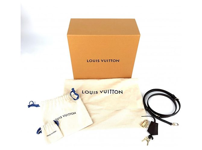 Borsa Louis Vuitton Damier Alma BB Marrone - vista 12