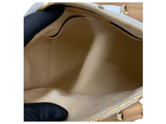 Borsa Louis Vuitton Speedy 25 Monogram Multicolor Marrone Multicolore - vista 9