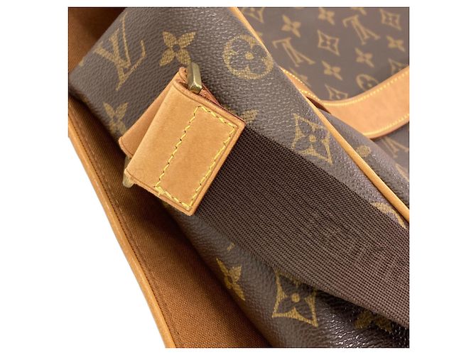 Borsa a tracolla Louis Vuitton M45257 Abesses Monogramma - vista 11