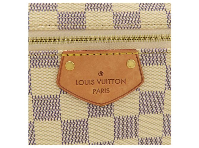 Borsa Tote Louis Vuitton Iena PM Blu Damier ebene - vista 10