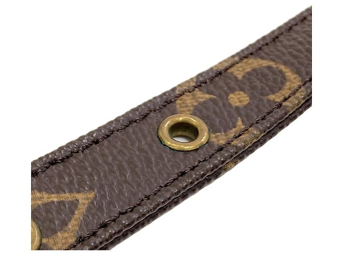 Louis Vuitton M45236 Amazon Shoulder Bag Monogramma - vista 11
