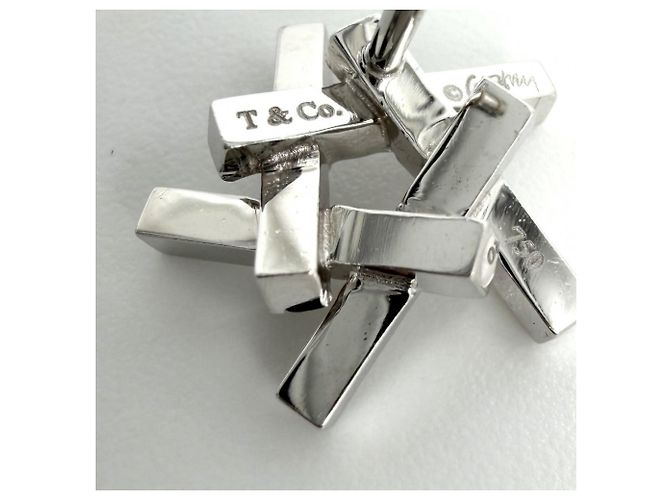 Orecchini a lobo Tiffany & Co. Frank Gehry Axis Design - vista 7