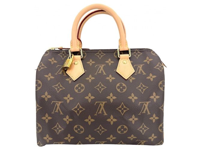 Borsa Mini Boston Speedy 25 Monogram da donna Louis Vuitton Marrone - vista 2