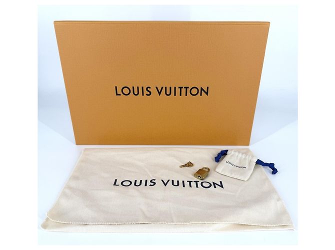 Borsa Mini Boston Speedy 25 Monogram da donna Louis Vuitton Marrone - vista 9