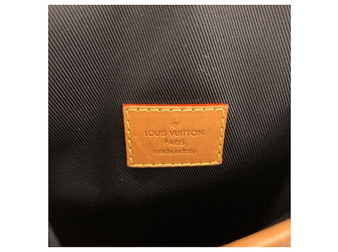 Louis Vuitton N40357 Amazon Messenger NIGO Collaboration Shoulder Bag Monogramma - vista 6