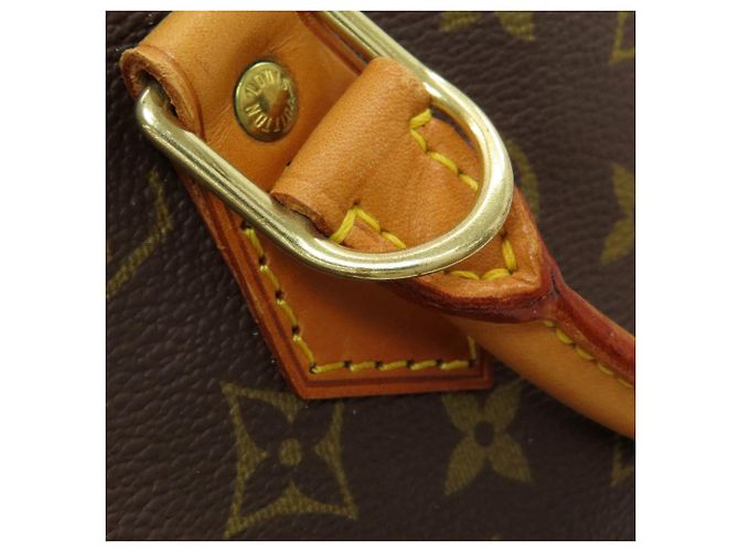 Borsa a mano Louis Vuitton Alma Monogramma - vista 14