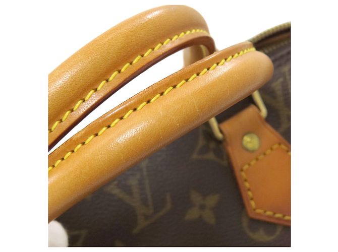 Borsa a mano Louis Vuitton Alma Monogramma - vista 16