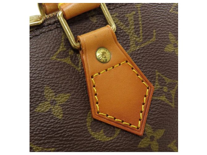 Borsa a mano Louis Vuitton Alma Monogramma - vista 9