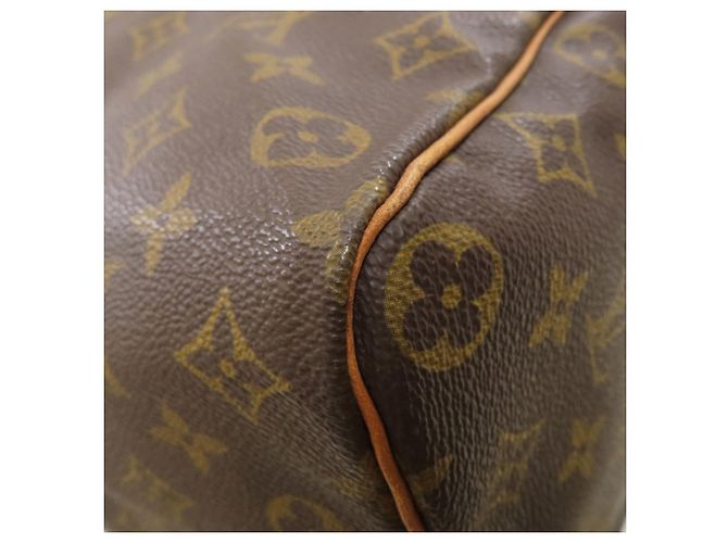 Borsa Boston Louis Vuitton Speedy 35 Monogramma - vista 19
